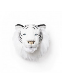 Tête Albert le tigre blanc
